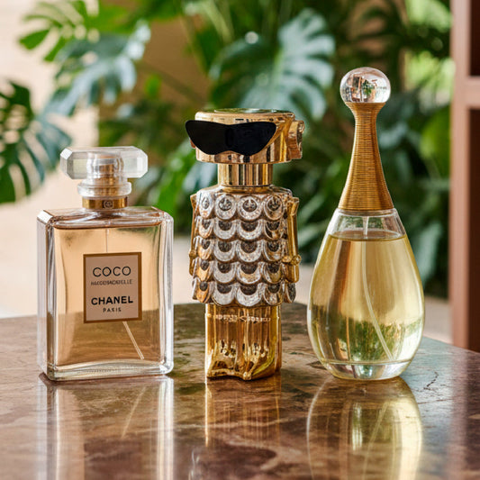 Fame, Jdr, Coco Ch TTK